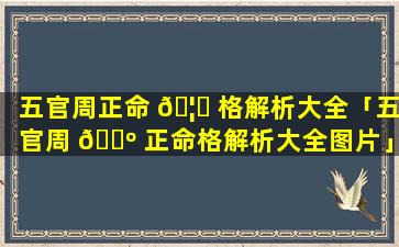 五官周正命 🦁 格解析大全「五官周 🐺 正命格解析大全图片」